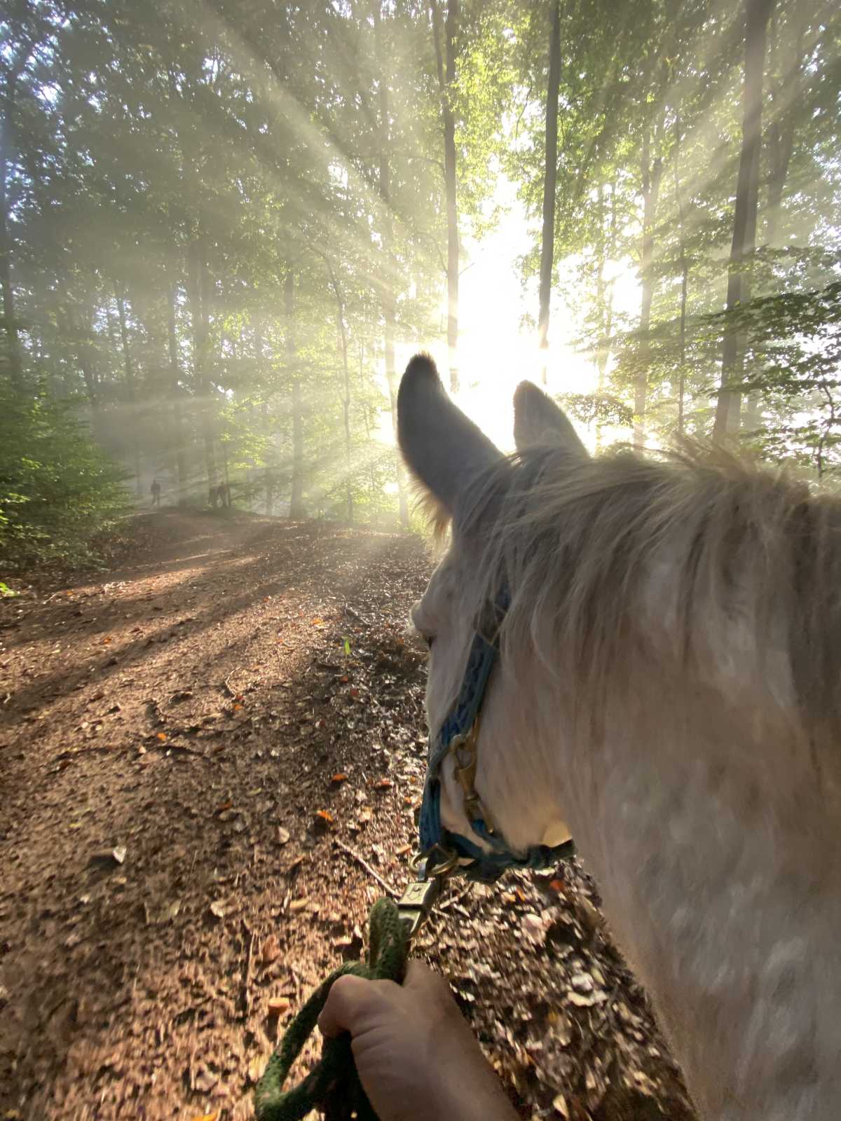 Natürlich verbunden 2025